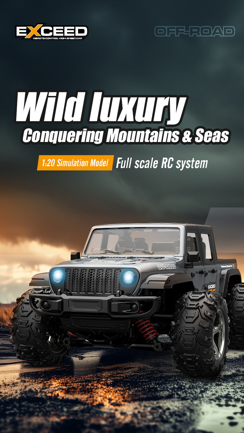 C8819 4WD Off Road RC Car