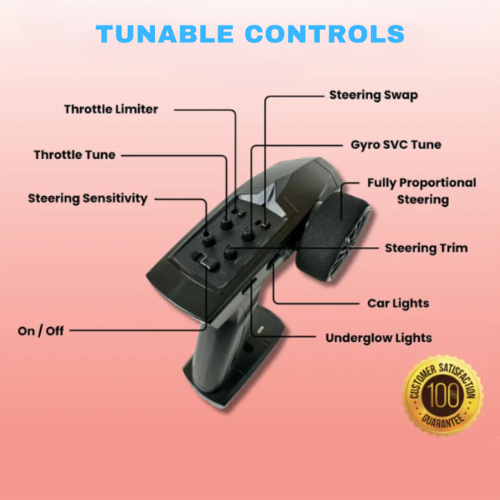 The TinyStorm mini rc